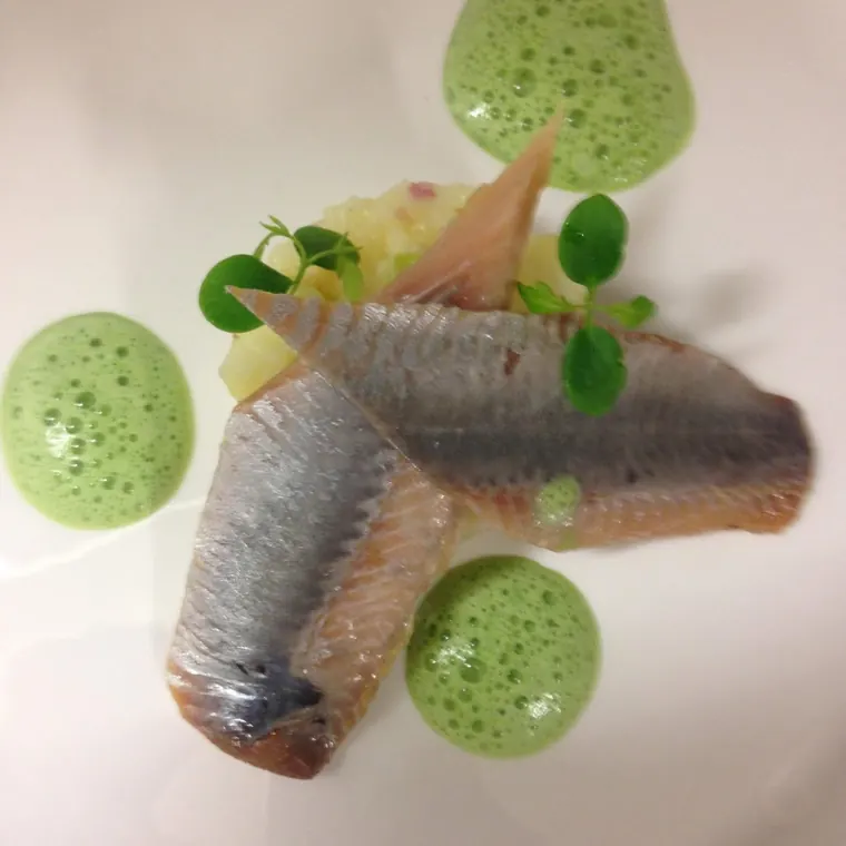 Assiette AWASE