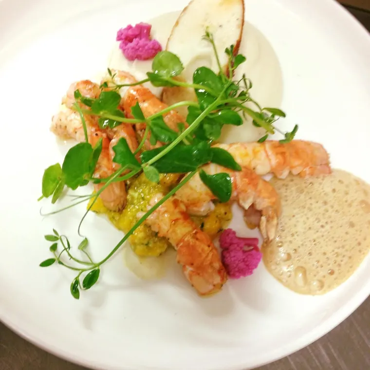 Assiette AWASE